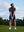 Model in dark grey/black your favorite jacquard polo preparing to tee off, full-body shot