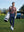 Model walking with golf bag on course in Popular heather print polo, relaxed wine red flower style